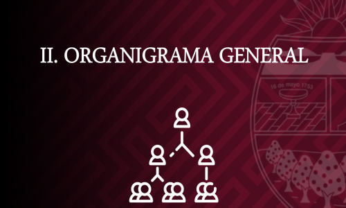 ORGANIGRAMA GENERAL